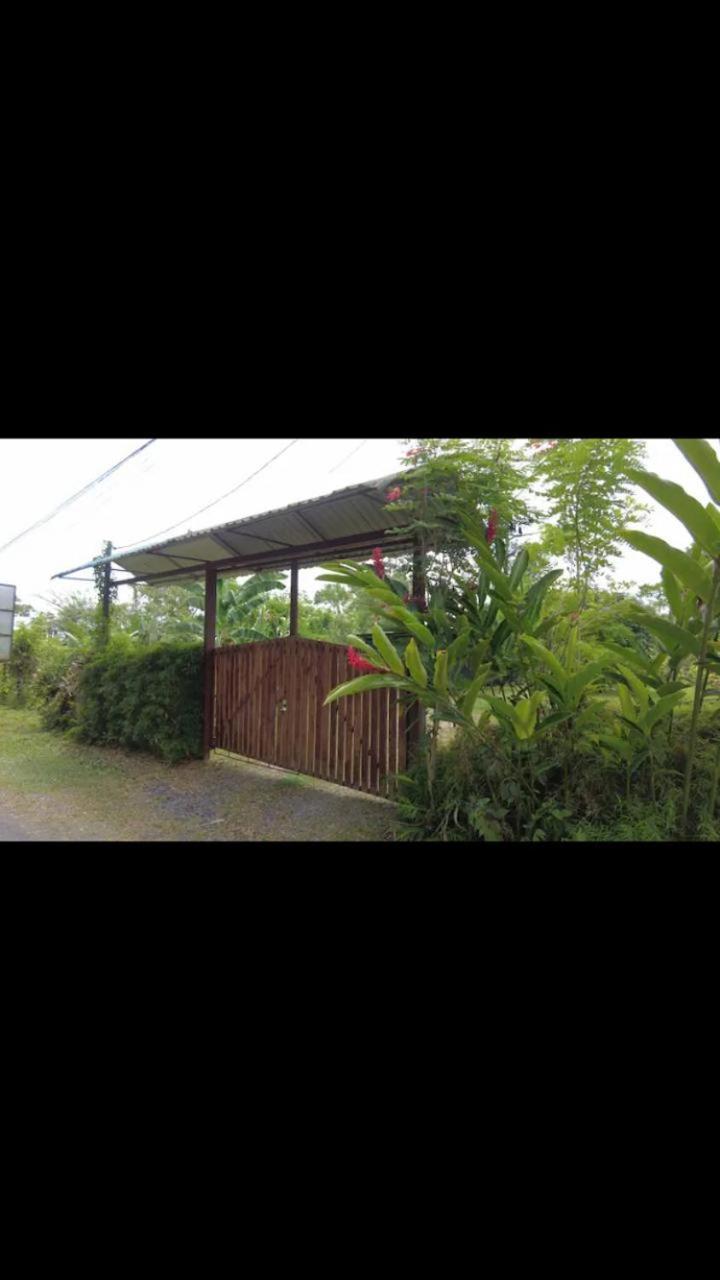 Arenal Hostel La Catarata La Fortuna Exterior foto